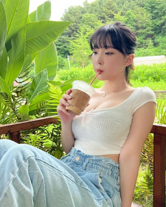 东邪西毒 封面