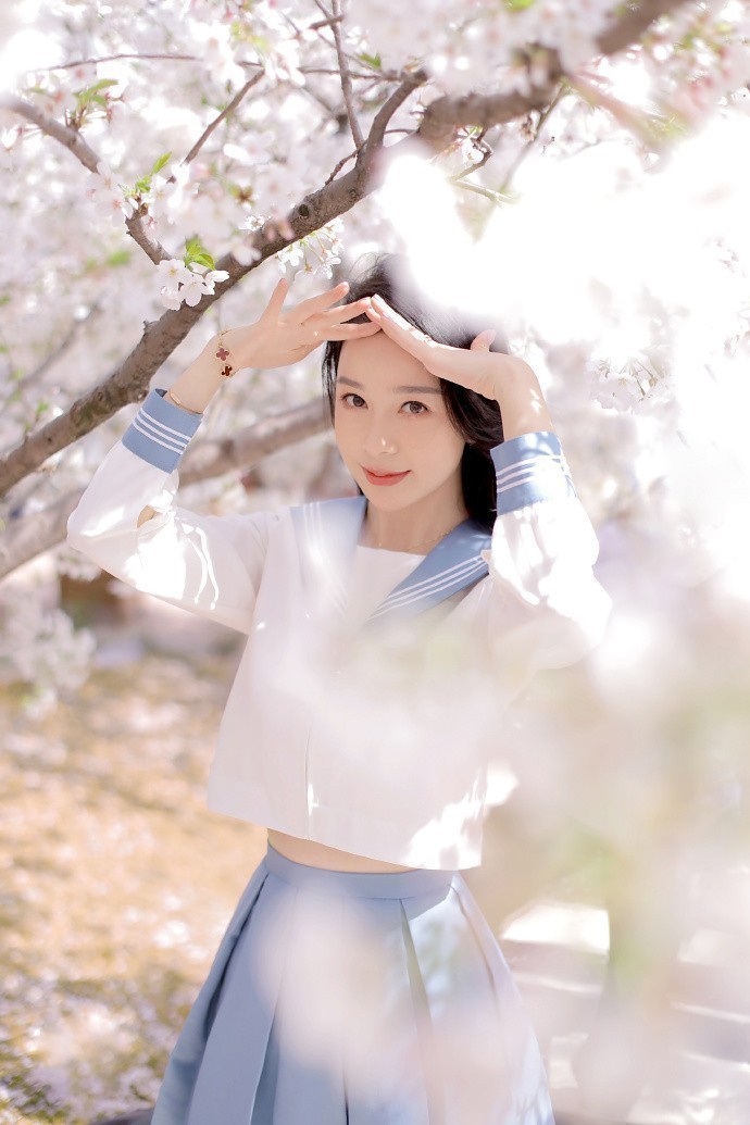 紫罗兰永恒花园 封面