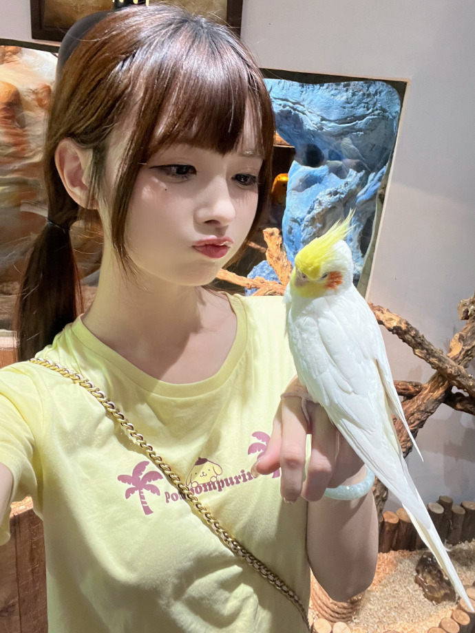 后窗 封面