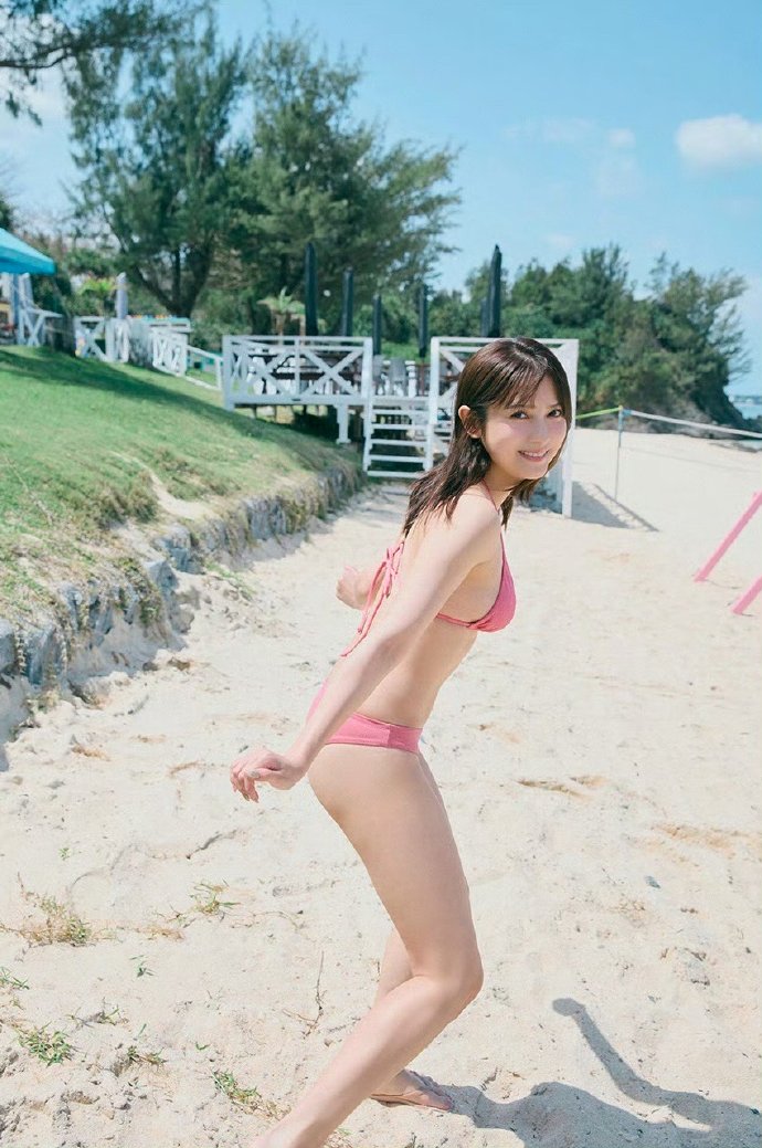 元素城 封面